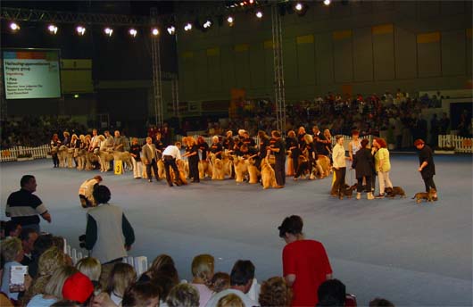 World Dog Show-2003, Dortmund